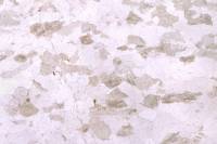 Gabbro rubané LPNA x3,5